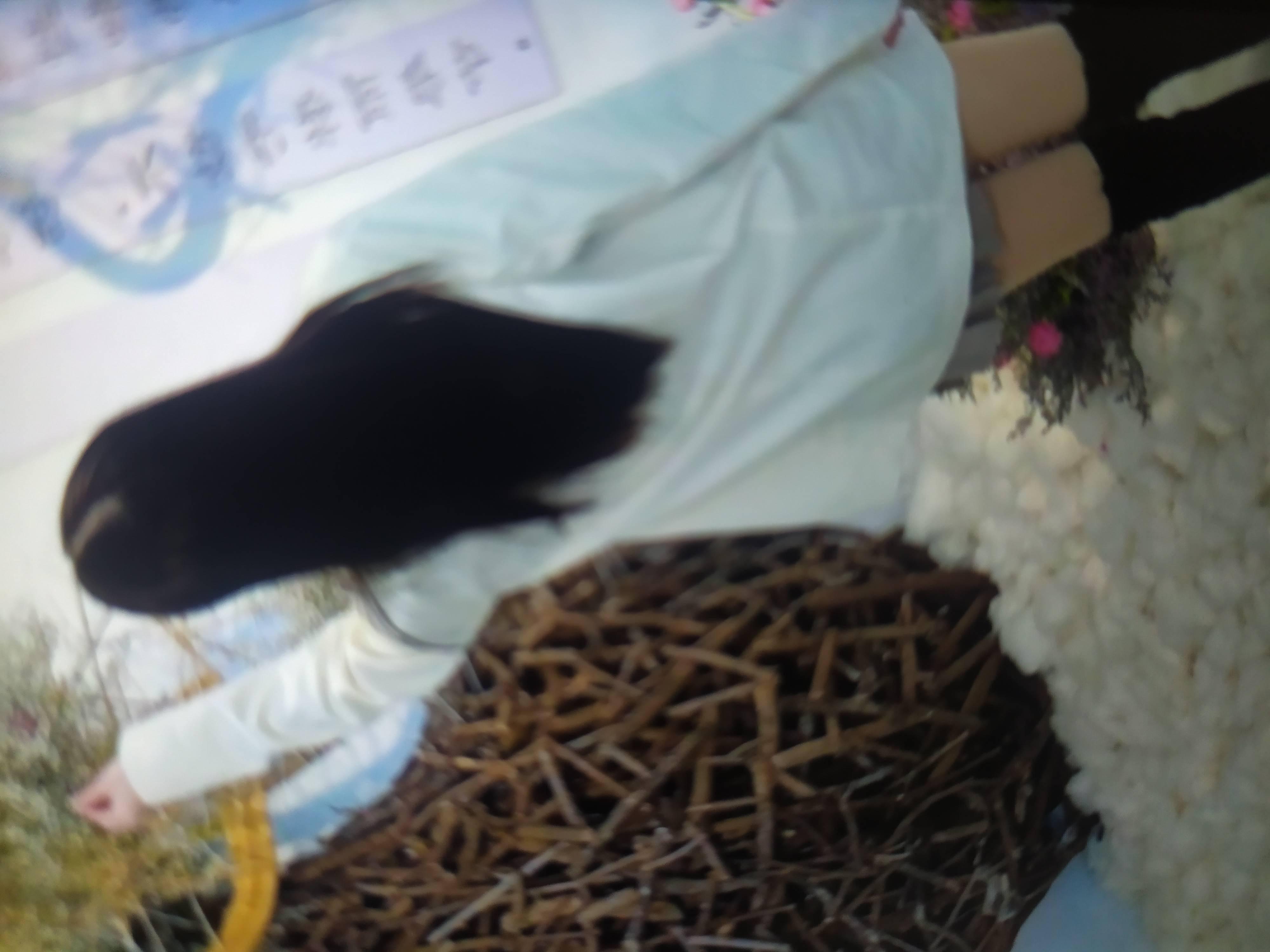 南开私密姐妹兼职